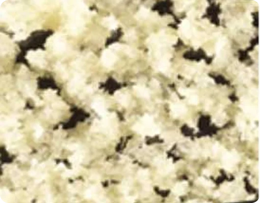 Cortical Cancellous Bone Blocks